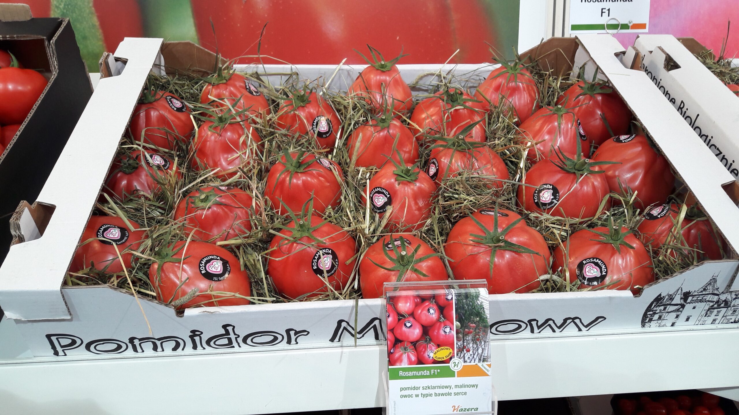 Pomidor Rosamunda – malinówka typu „premium”