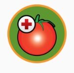 Logo aplikacji choroby pomidorów