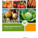 katalog-odmian-warzyw-do-uprawy-w-gruncie