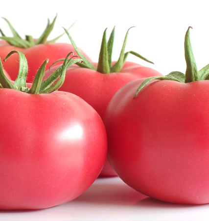 Pomidor malinowy Manistella F1 – arcydzieło sztuki ogrodniczej