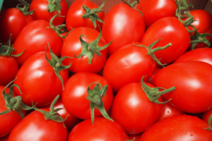 pomidor-sliwka-colibri-hazera