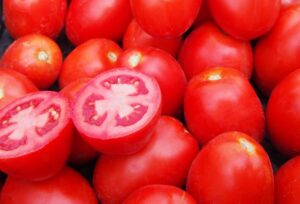 pomidor-gruntowy-Zeplin-hazera