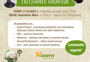 2022-baner-zaproszenie-kalafior-kościelna wieś-1200x1200px