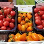 Fresh-Market-2022-tomato-on-booth (2)-740px