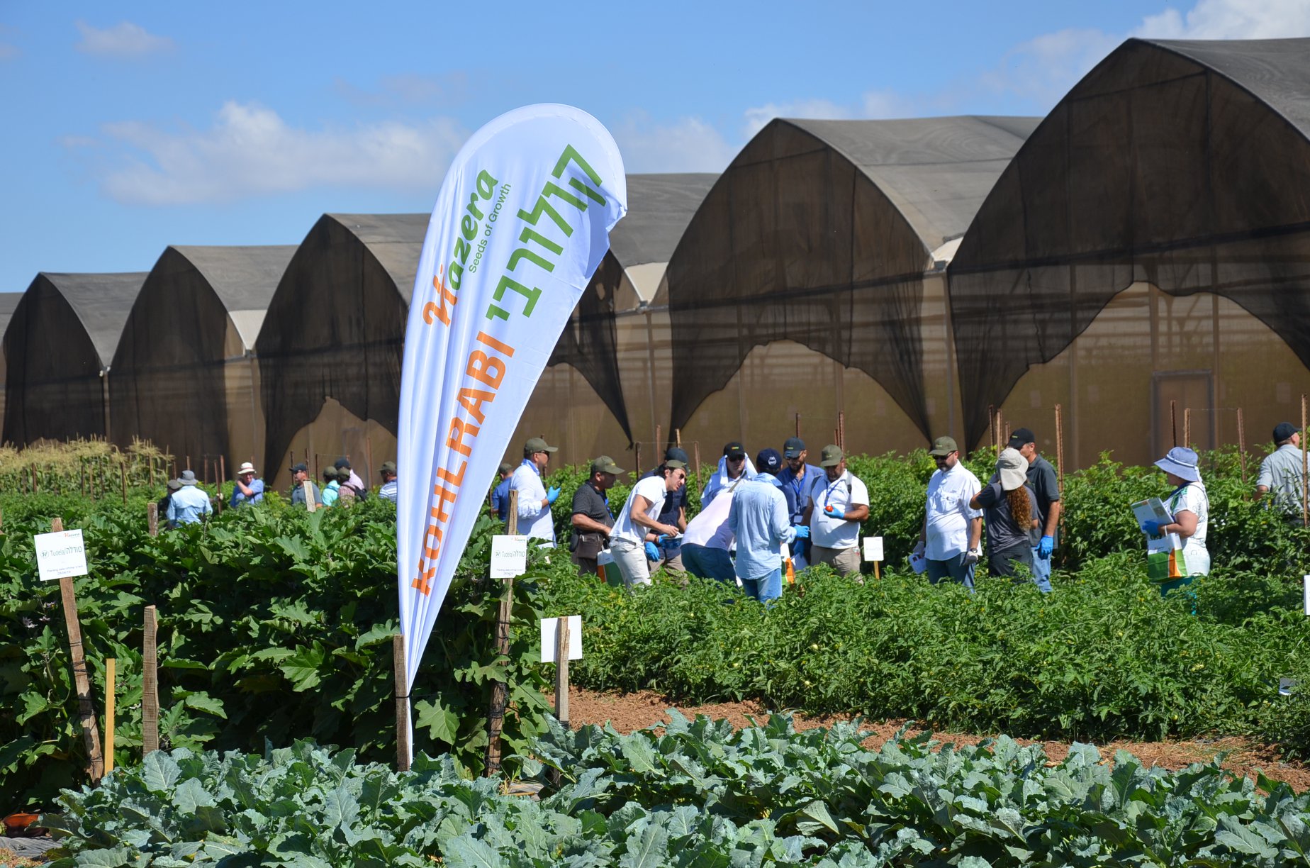 International Open Days in Israel