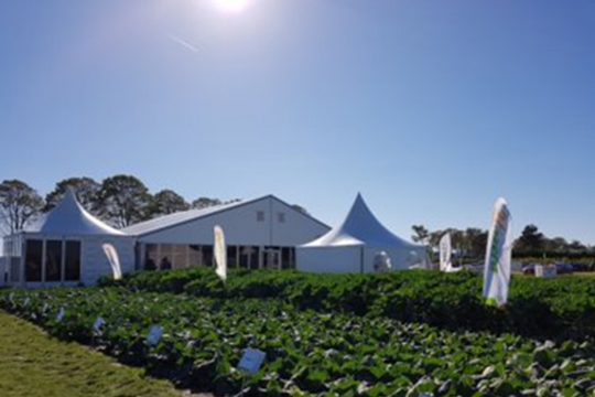 International Open Days in The Netherlands
