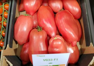 nasiona pomidora Cornarose