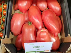 V633-(Cornarose)-pomidor-hazera