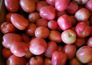 nasiona pomidora pink soul