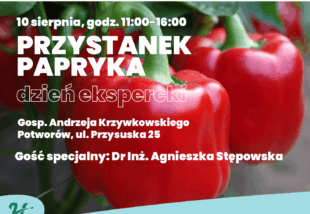 przystanek papryka 2025