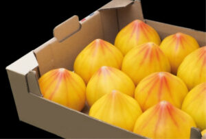odmiana pomidora Flamansun