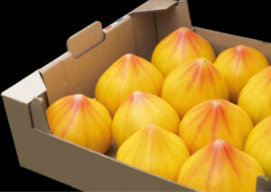 nasiona pomidora Flamansun