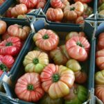 nowe odmiany pomidorów malinowych - Buffalopink