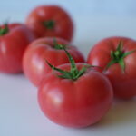 nowe odmiany pomidorów malinowych - Lorara