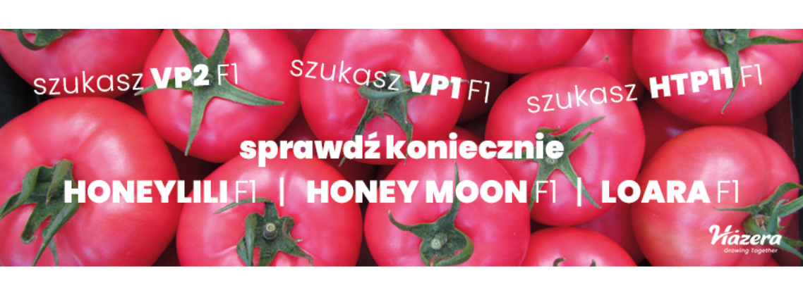 nowe odmiany pomidorów malinowych