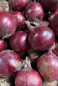 Odmiana cebuli Radesco F1