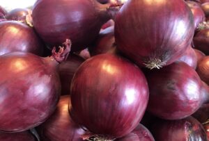 Odmiana cebuli czerwonej Redshine F1