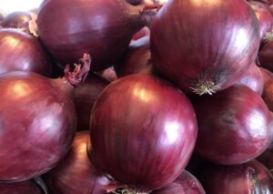 nasiona cebuli czerwonej Redshine F1