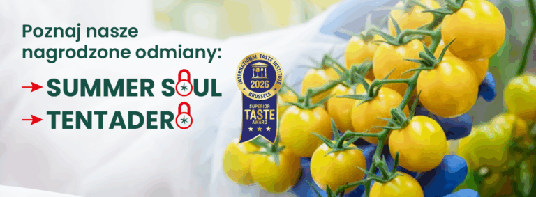 Odmiany Tentadero i Summer Soul od Hazery nagrodzone prestiżowymi wyróżnieniami Superior Taste Awards