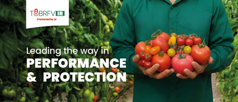 Lider w dziedzinie wydajności i ochrony