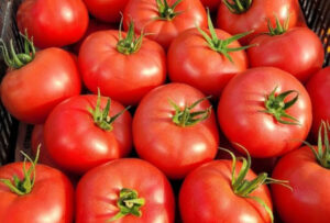 nasiona pomidora rosastella